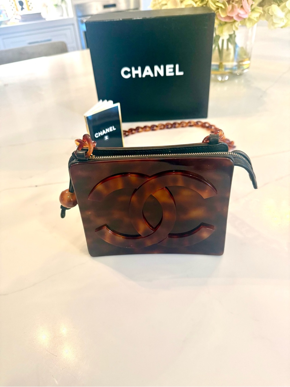 Rare, Vintage CHANEL Tortoiseshell Resin Mini Crossbody in Rich Brown